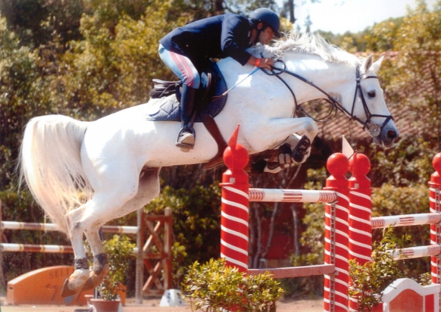 Escuela de equitación competitiva 